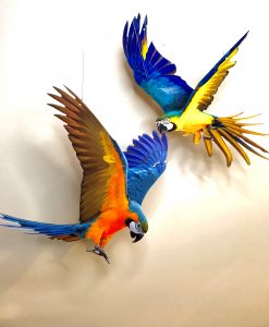 Two Different Colour Bird Flying - Installation Art